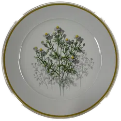 SUISSE LANGENTHAL Sammelteller Nr. 596 Weihnachten 1990 Matricaria Chamomilla mit Zertifikat - Bild 1