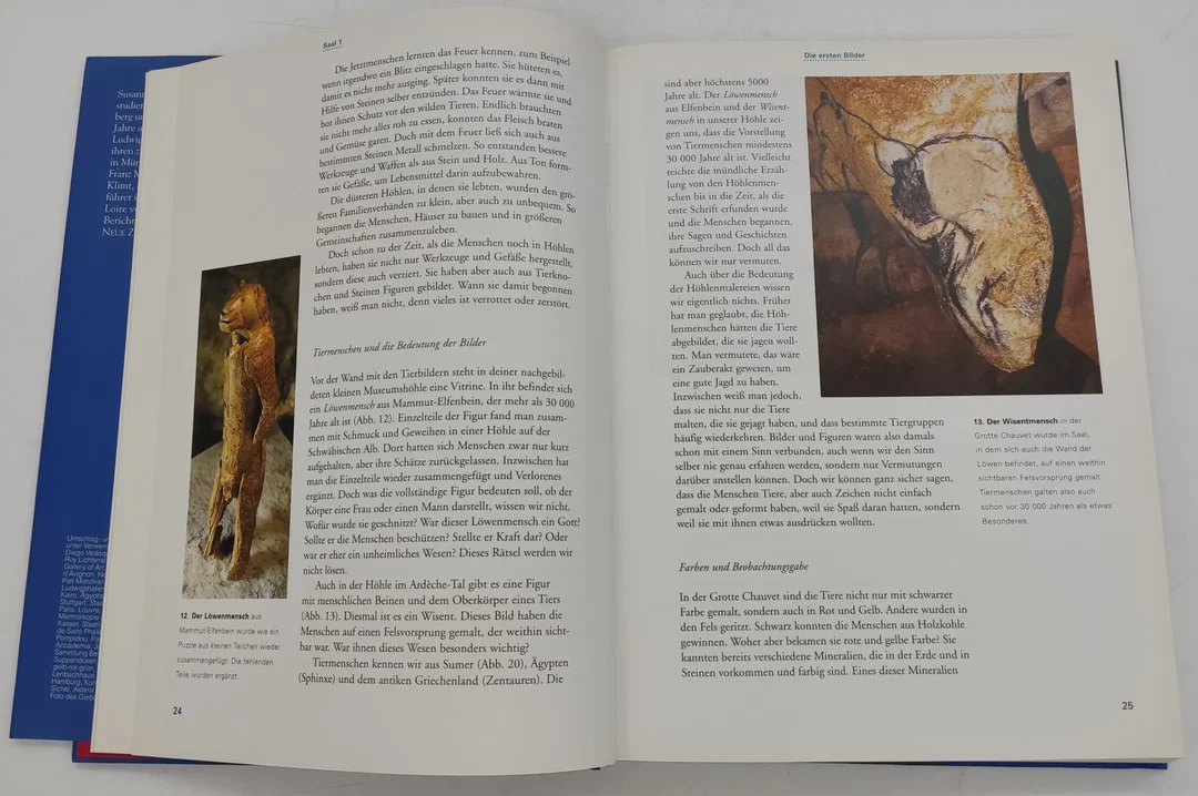 Buch Haus der Kunst "Ein Gang durch die Kunstgeschichte von der Höhlenmalerei bis zum Graffiti"  von Susanna Partsch – Bild 3