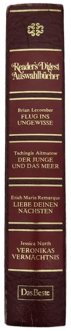 Flug ins Ungewisse / Der Junge und das Meer / Liebe Deinen Nächsten / Veronikas Vermächtnis - Bild 2
