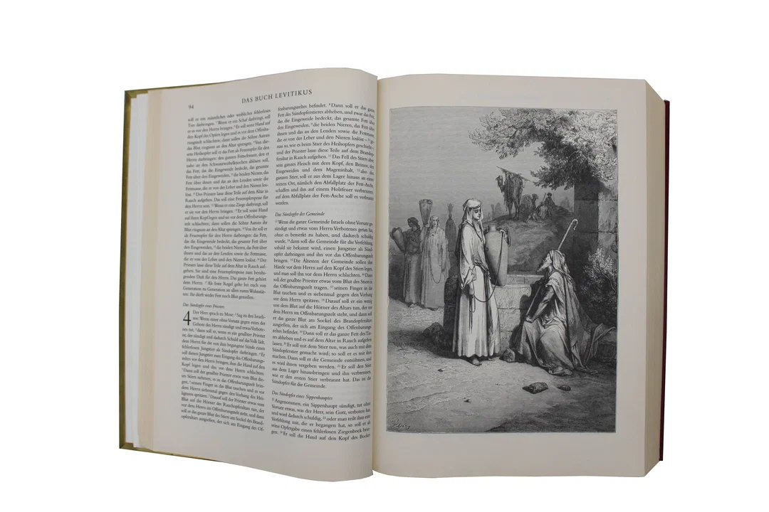 Buch Weltbild Bibel mit geprägtem Messingeinband | Illustrationen von Gustave Doré – Bild 3