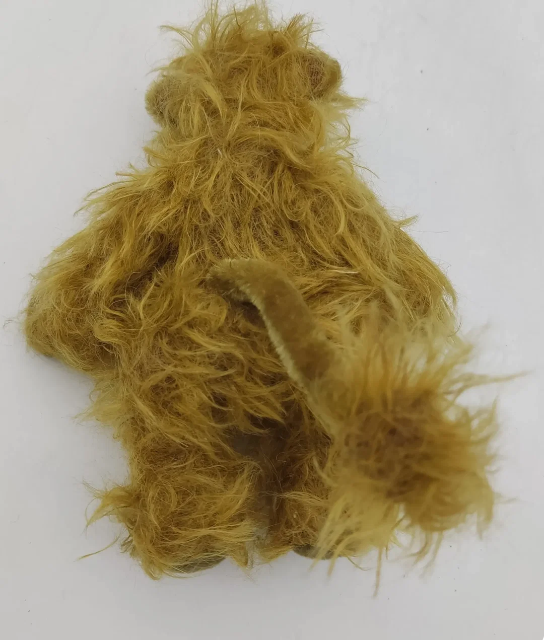 MS Bären - Löwe Leo – Bild 2