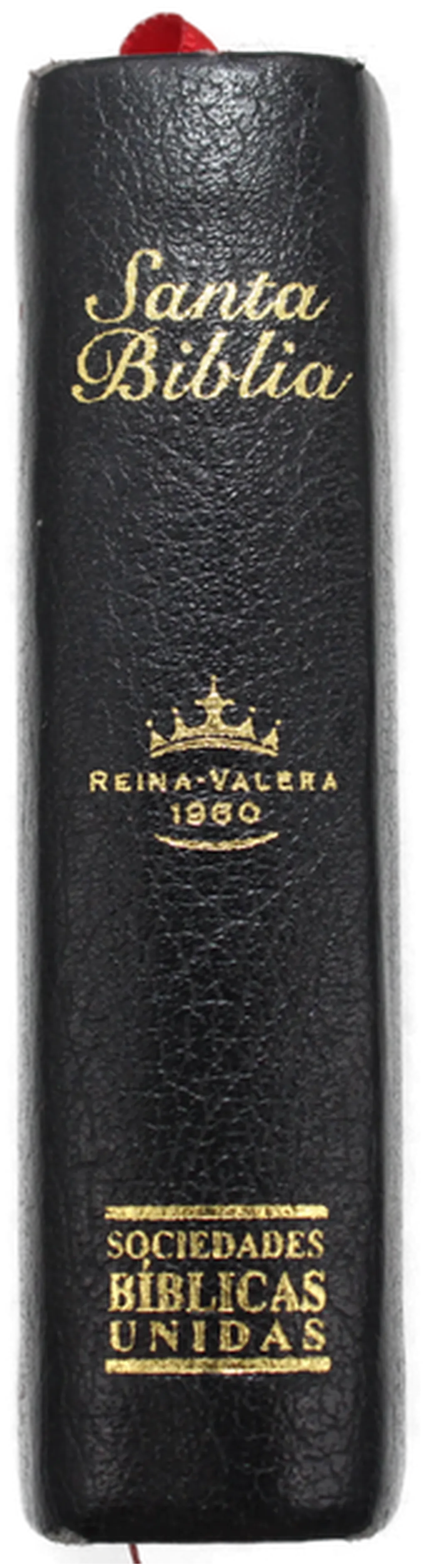 Buch "Santa Biblia (Spanische Bibelausgabe)" – Bild 2
