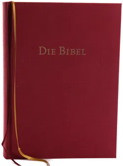 Buch 
