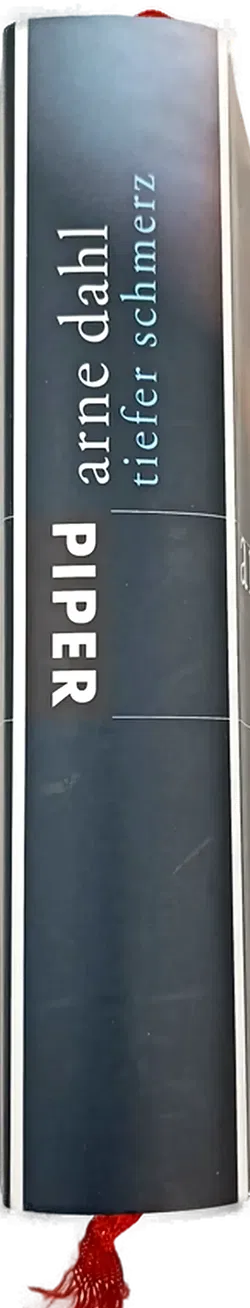 Tiefer Schmerz - Arne Dahl - Bild 2