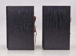 Panasonic SC-PM250B Micro HiFi System (DAB+, Bluetooth, CD, USB) – Schwarz/Silber - Bild 14