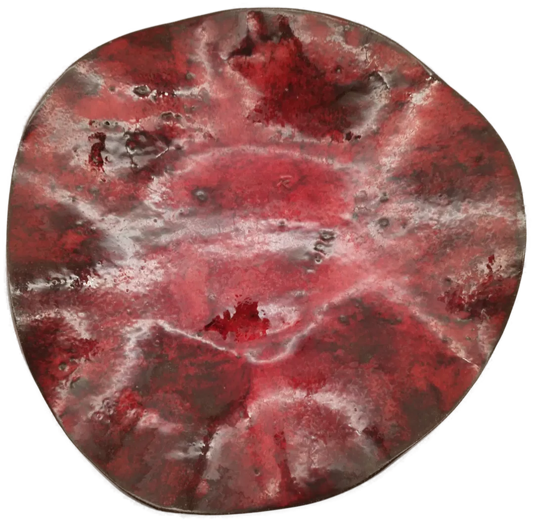 Ing. Raimund Steiner Dekorativer Teller - Durchmesser ca. 43cm - Bild 1