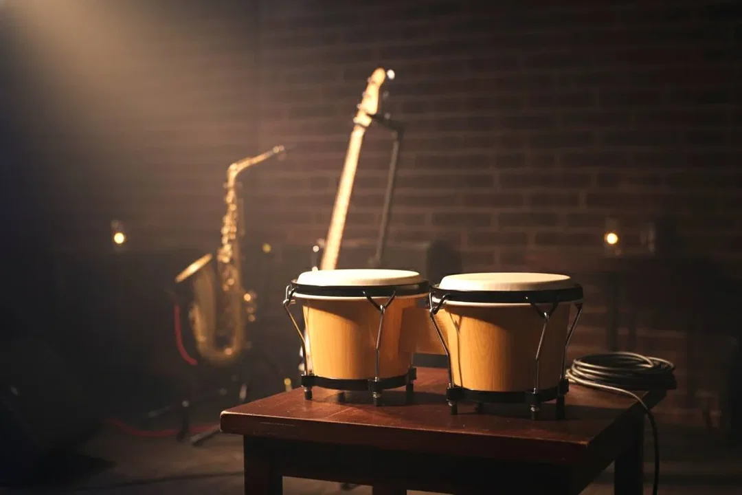 Klassische Holz-Bongos mit Naturfell – Doppelbongo-Set - Bild 1