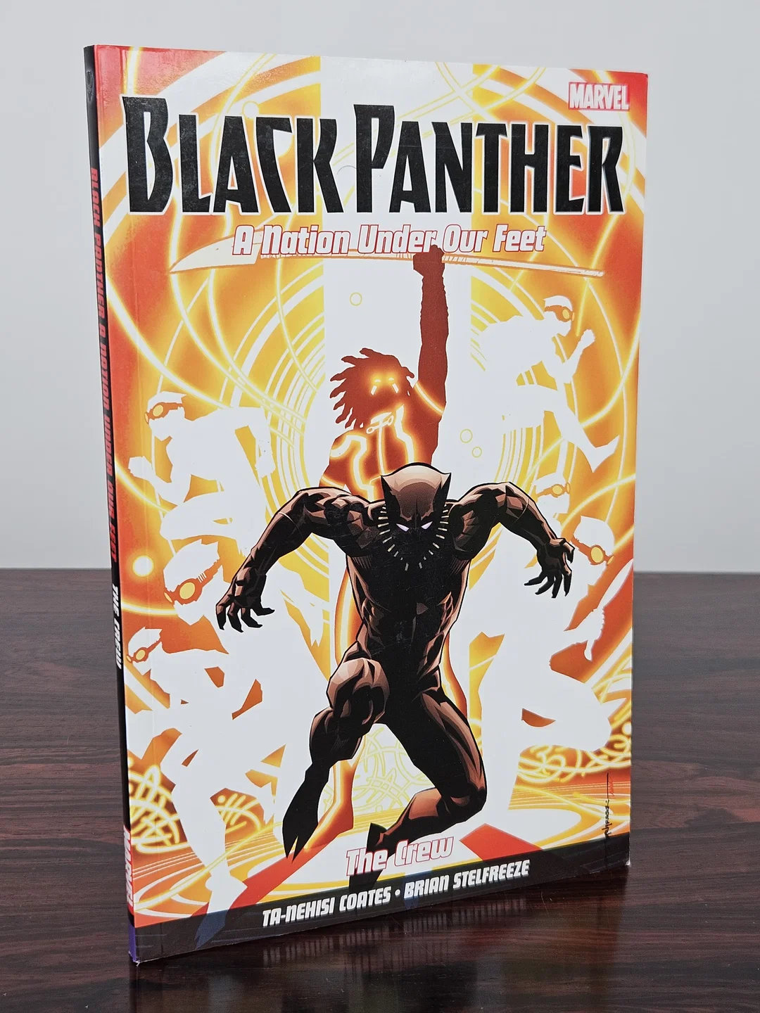 Black Panther: A Nation Under Our Feet - TaNehisi Coates - Bild 2