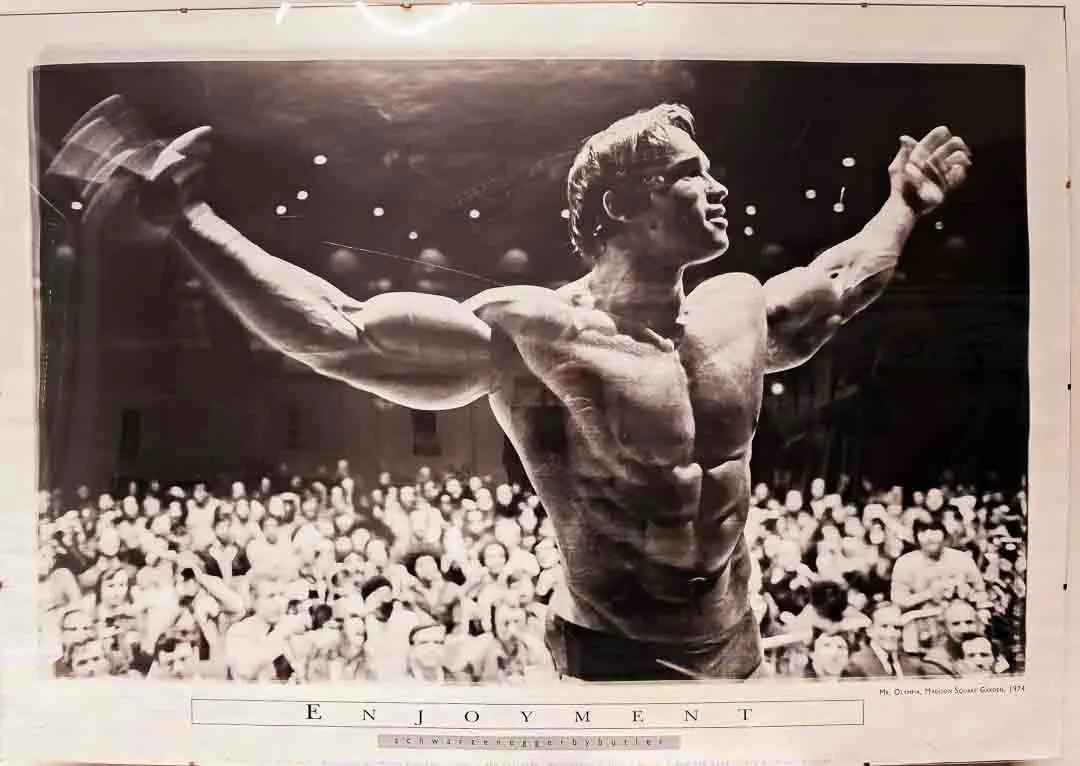 Großes Arnold Schwarzenegger Poster „Enjoyment“ 100x70 – 1974 Vintage Original - Bild 4