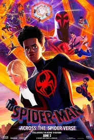 Spiderman: Across the Spiderverse DVD - Bild 1