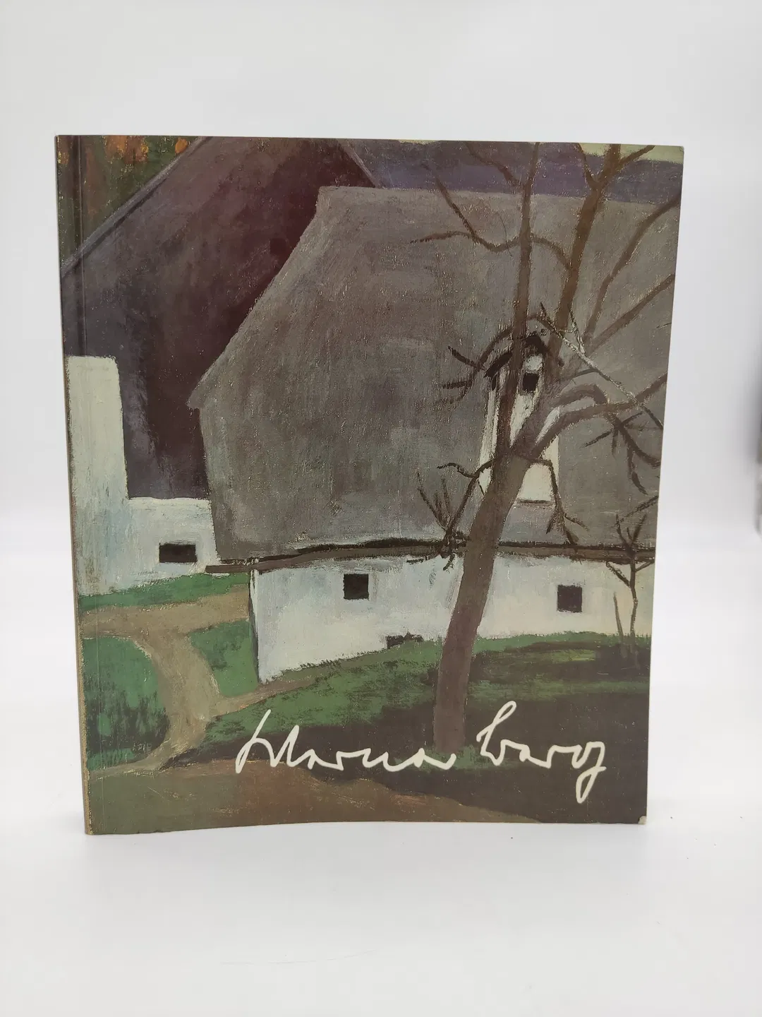 Werner Berg-  Seine Kunst, sein Leben - Harald Scheicher (Herausgeber)  - Bild 1