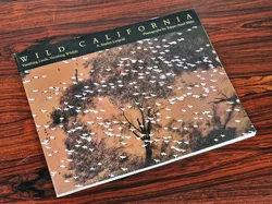 Wild California - A. Starker Leopold - Univ of Carlifornia Press - Bild 1