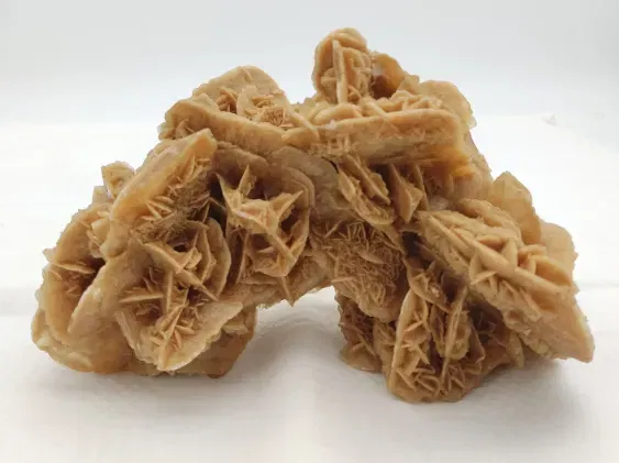 Wüstenrose Sandrose - Bild 1