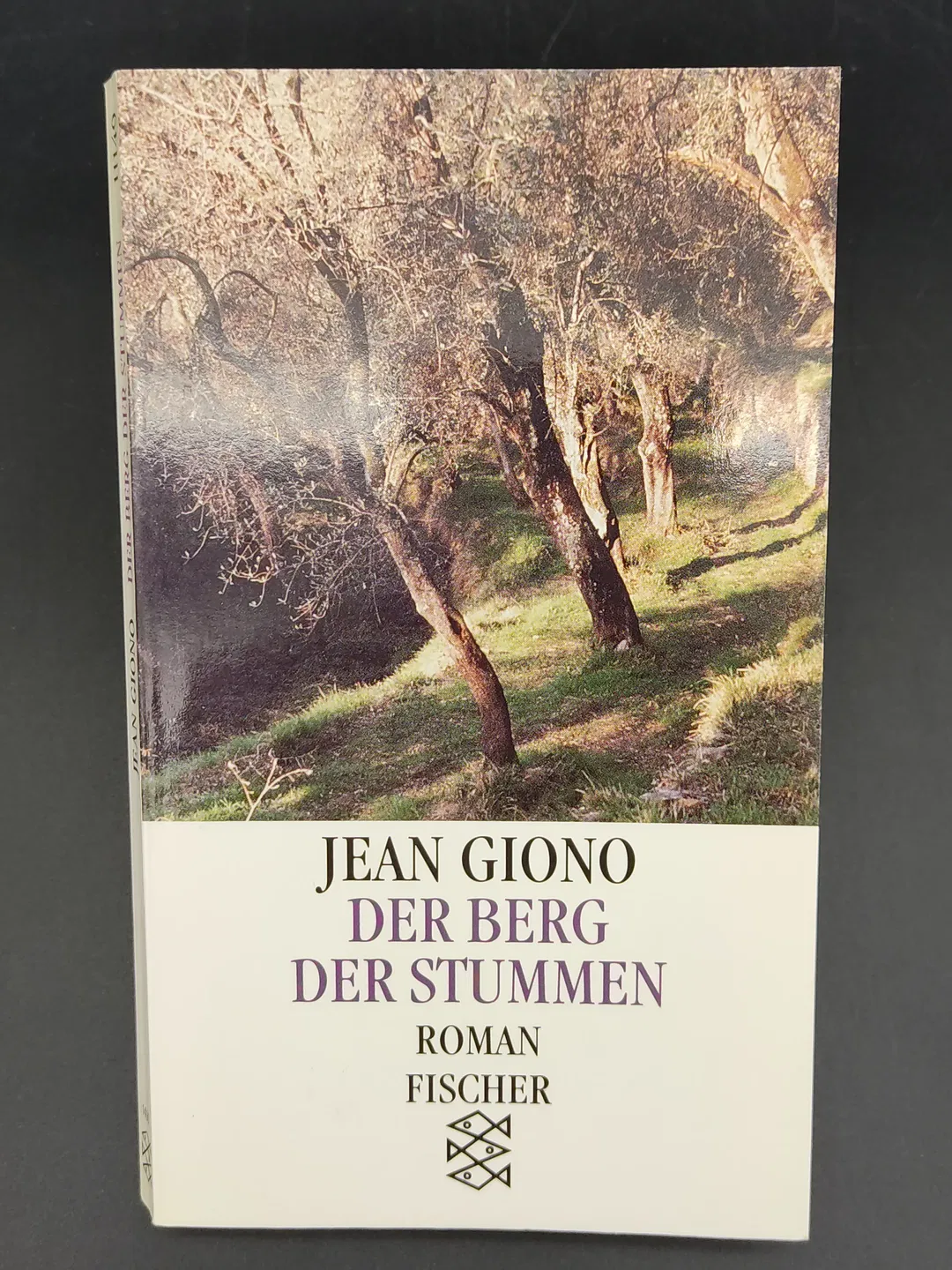 Der Berg der Stummen - Jean Giono - Bild 2