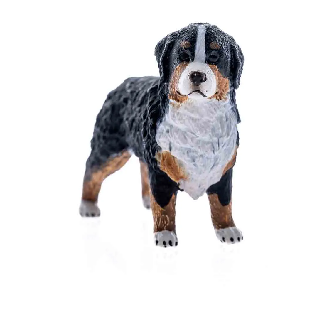 Schleich Farm World Berner Sennenhündin 16397 – Bild 4