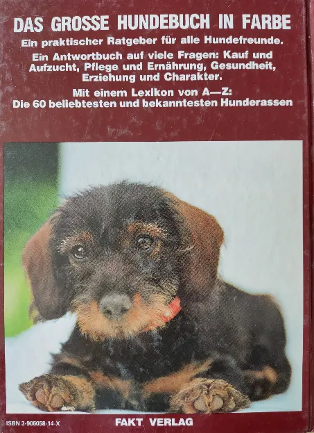 Buch "Das grosse Hundebuch in Farbe" - Helmut Hohmann, Heinz Renk – Bild 2
