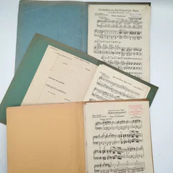 Salonorchester-Noten Konvolut | Einmaliges Unikat - Bild 2