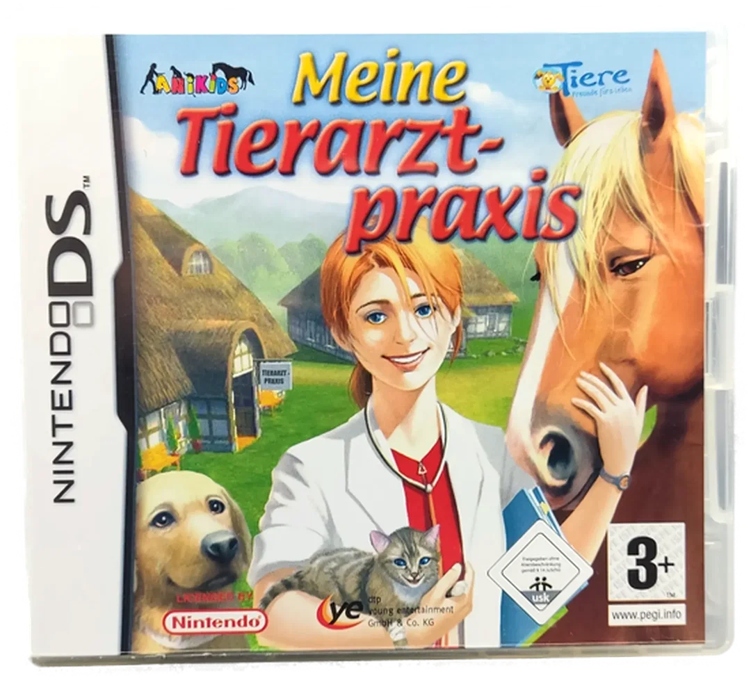 Nintendo DS 