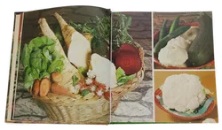 Buch Gemüseküche von A - Z 