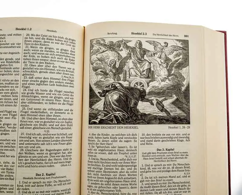 Goldrandbibel mit 223 Abbildungen von Julius Schnorr von Carolsfeld Fassung von 1912 – Bild 6