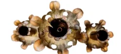 Vintage Blumen-Kerzenständer aus Metall – 5-flammig – ca. 78 × 55 cm - Bild 3