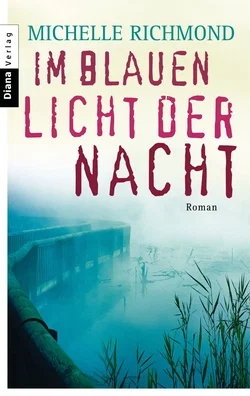 Im blauen Licht der Nacht - Michelle Richmond