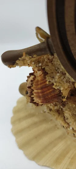 Tischdeko Aus Echten Muscheln | MIt Schönheitsfehler - Bild 8