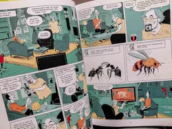 Sapiens Der Aufstieg Graphic Novel Yuval Noah Harari Hardcover – Vorschau 3