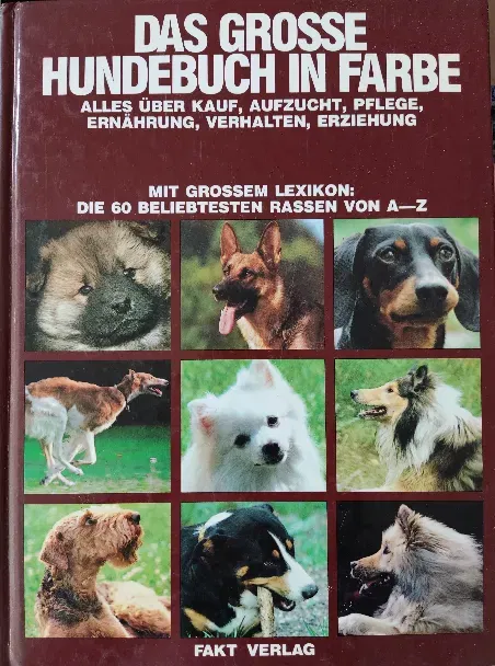 Buch 