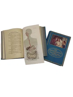 Jenny Springer - Die Ärztin im Hause (Band 1 & 2) - Bild 2