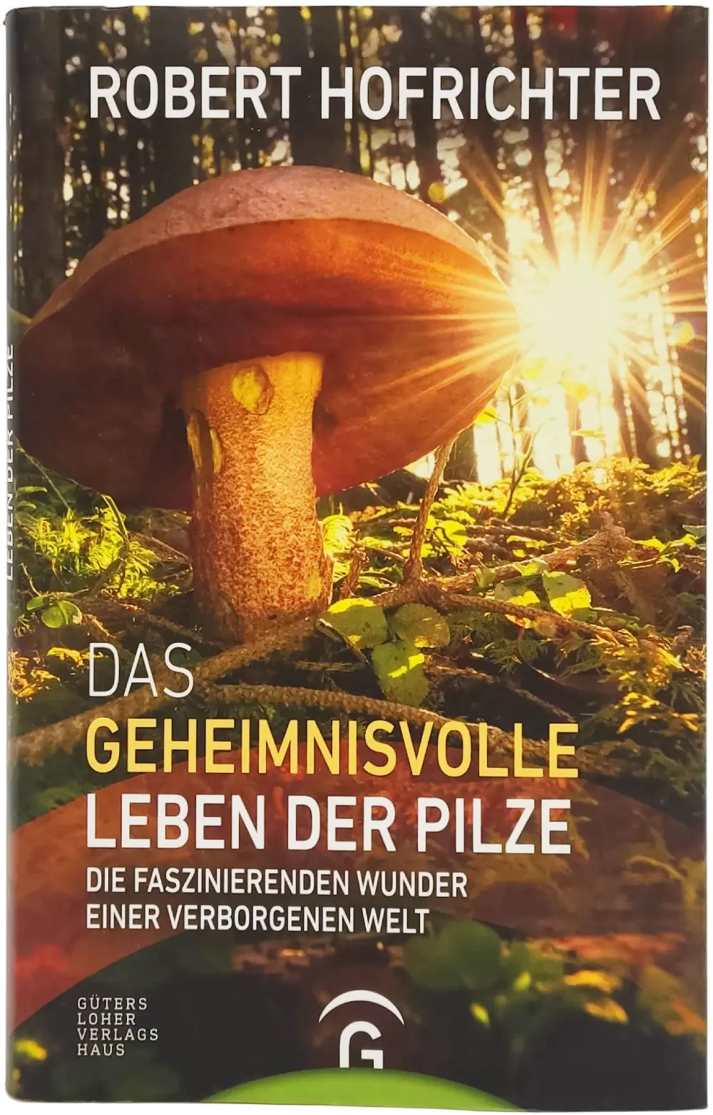 Buch 
