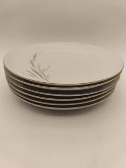 Speiseservice komplett , Eschenbach, 50er Jahre, Midcentury, Vintage, selten - Bild 3