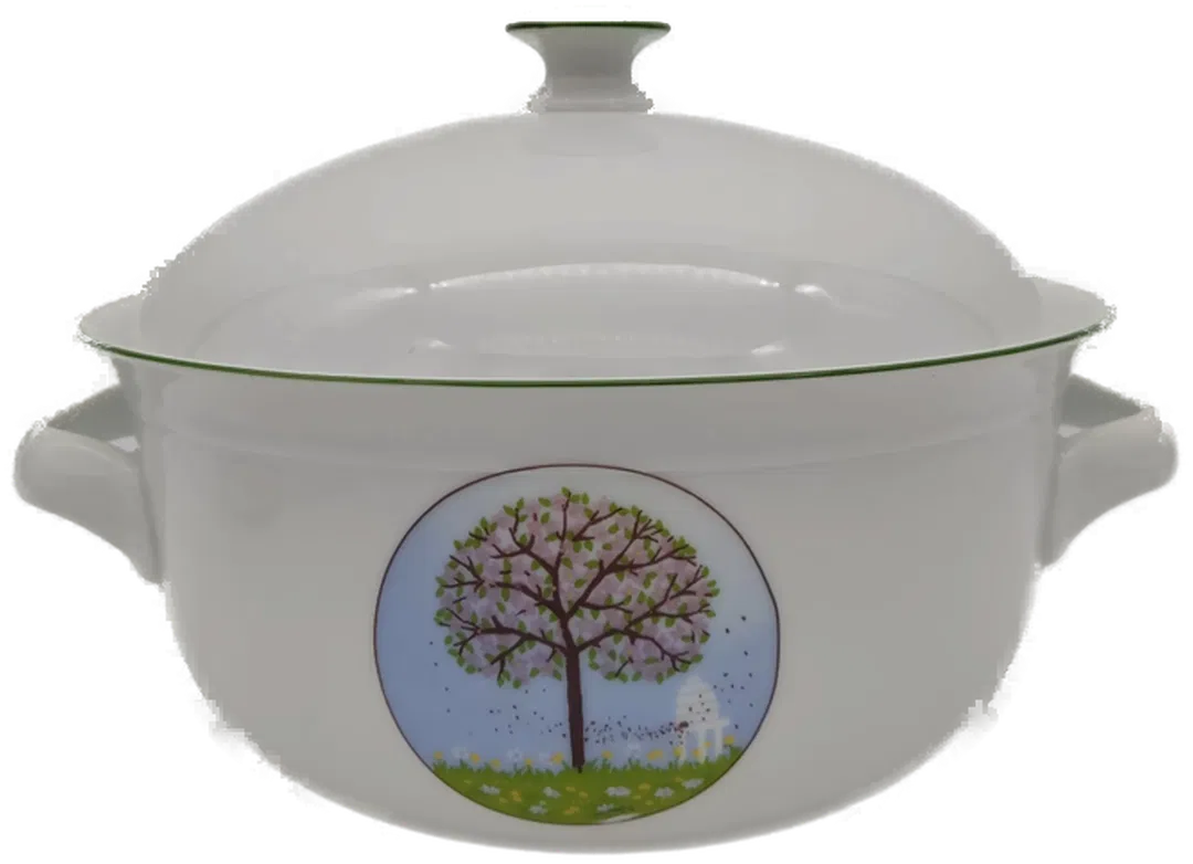 Tschechoslowakei MZ Porzellan Suppenschüssel  Vintage - Bild 1