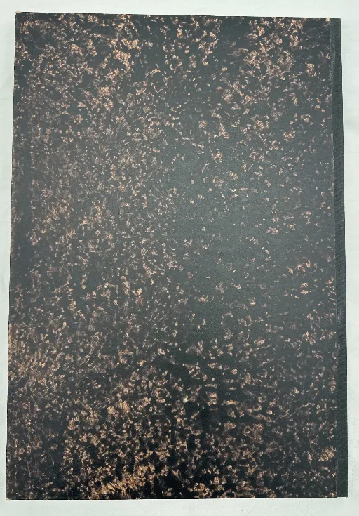 Gustav Klimt Zeichnungen 1 Sammelmappe mit Drucken 1980 – Bild 2