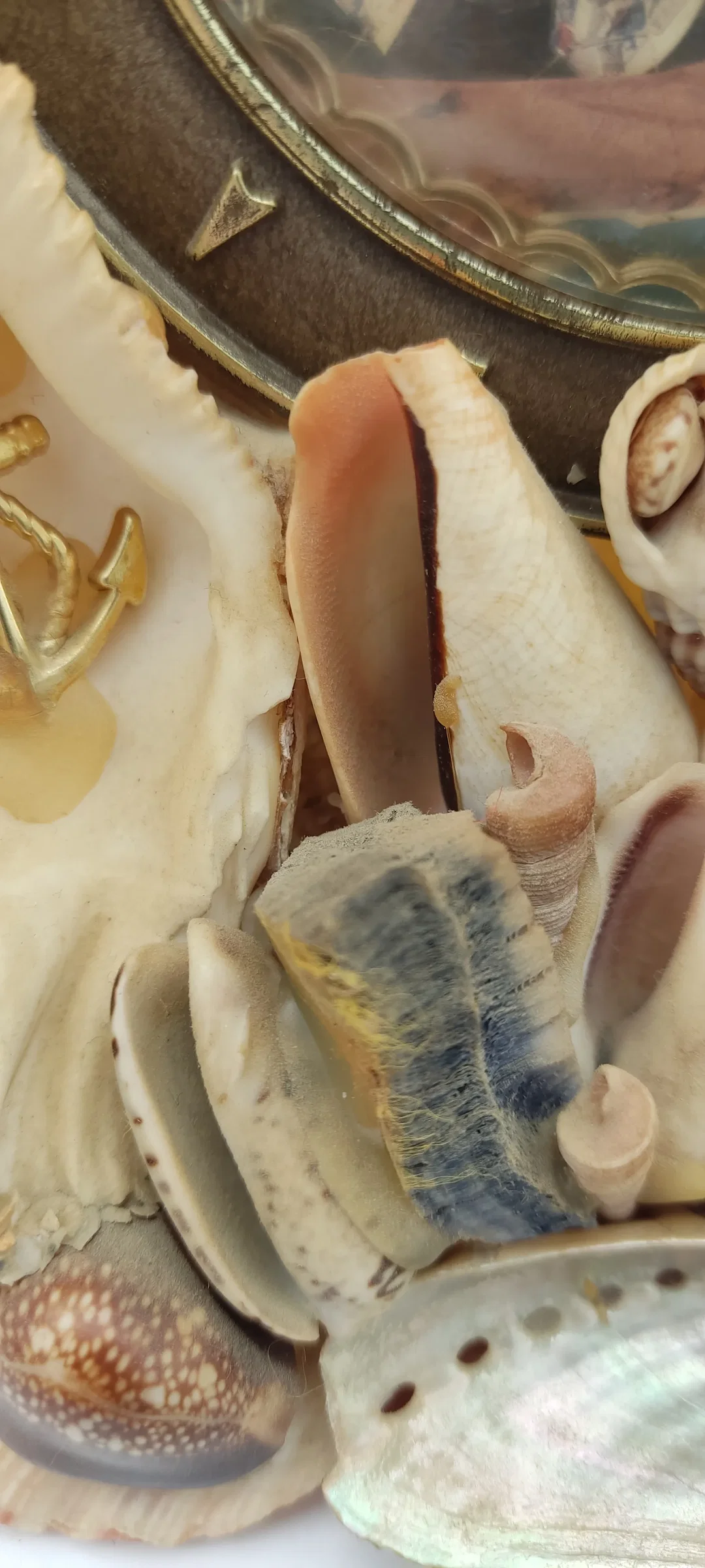 Tischdeko Aus Echten Muscheln | MIt Schönheitsfehler – Bild 5