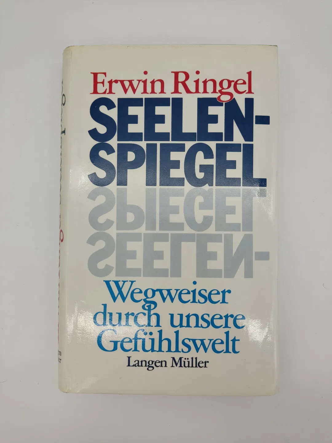 Seelenspiegel: Wegweiser durch unsere Gefühlswelt- Erwin Ringel - Bild 1