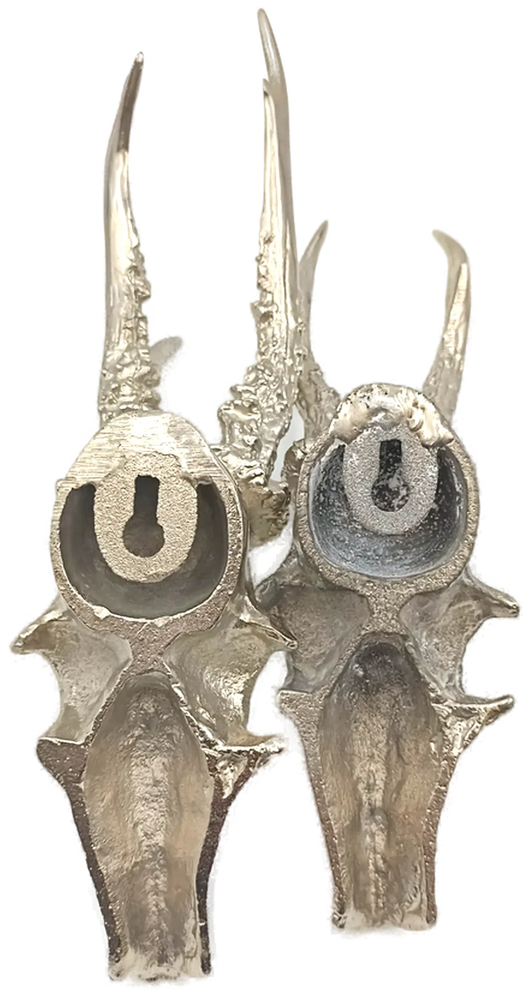 Rehbockgeweihe – Dekoratives Trophäenimitat – Bild 6