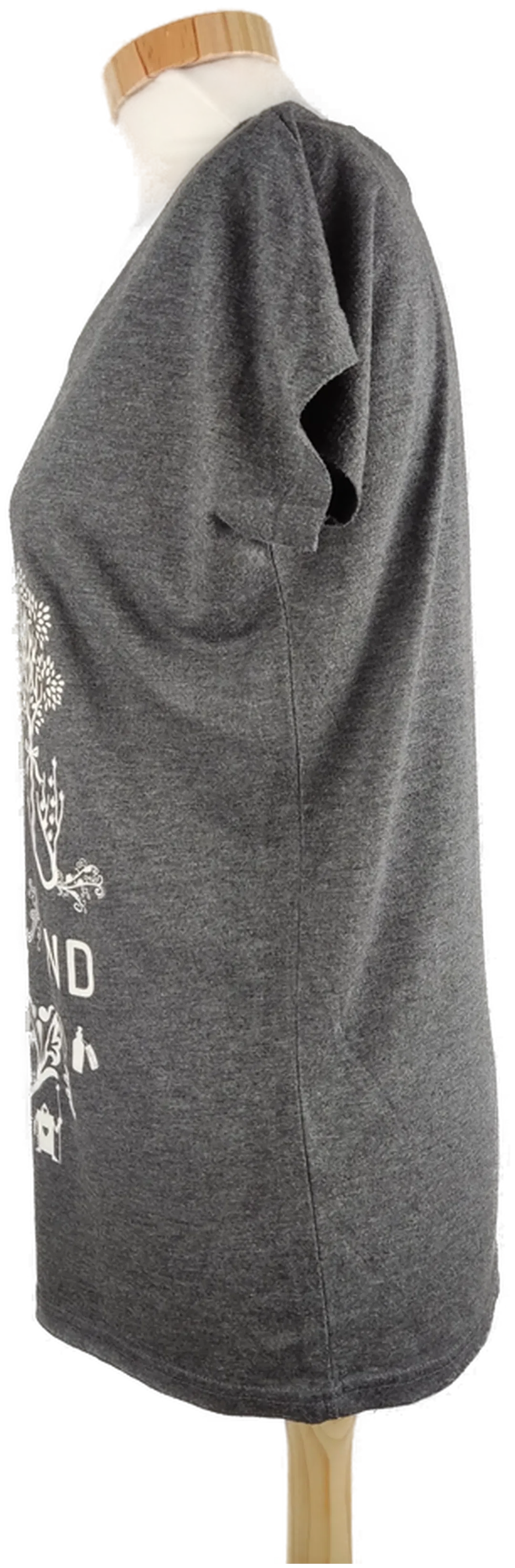 T-Shirt "np nastrovje", kurzarm mit Rundhalsausschnitt, dunkelgrau mit Aufdruck, Größe S – Bild 2