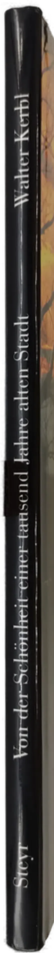 Buch/Bildband Steyr Von der Schonheit einer tausend Jahre alten Stadt von Walter Kerbl  - Bild 3