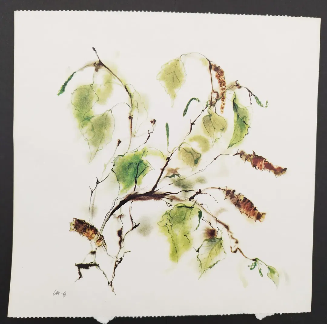 Ellen Gibis: Blumenillustration - KOPIE - Bild 1