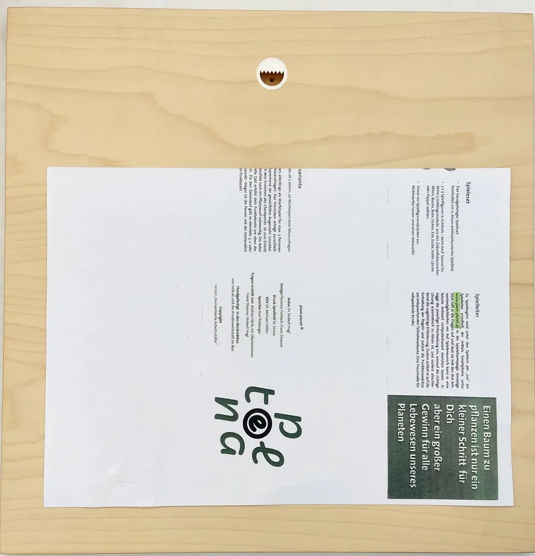 Plant-planet - Würfelspiel aus Holz - Handgefertigt – Bild 2