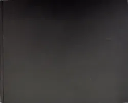 MAN. Ein Jahrhundert - Henning Stibbe, Matthias Georgi - Bild 2