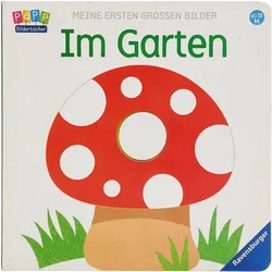 Buch 