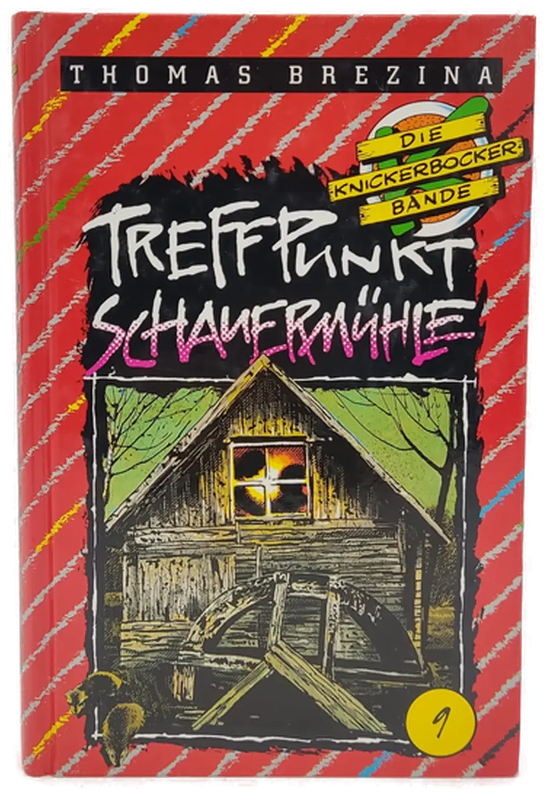 Thomas Brezina Die Knickerbockerbande 