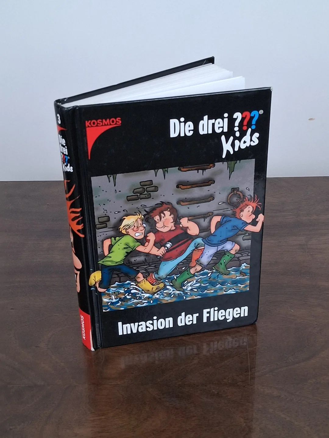 Die drei ??? Kids / Invasion der Fliegen - Ulf Blanck - Bild 1