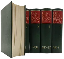 Der Neue Brockhaus 5 Bände - Bild 2