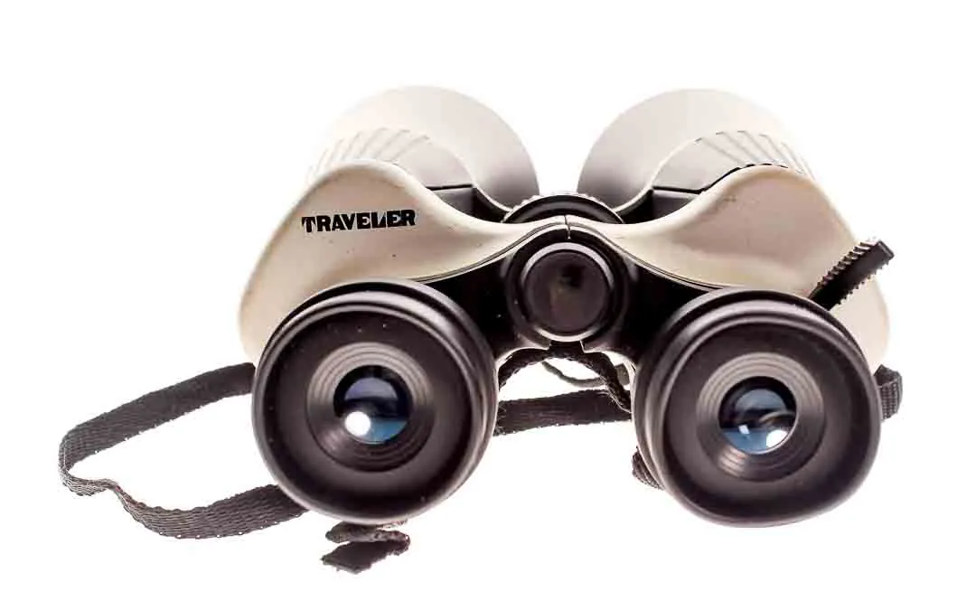 Traveler Fernglas 10–30x60 – Zoom Feldstecher mit Trageriemen - Bild 1