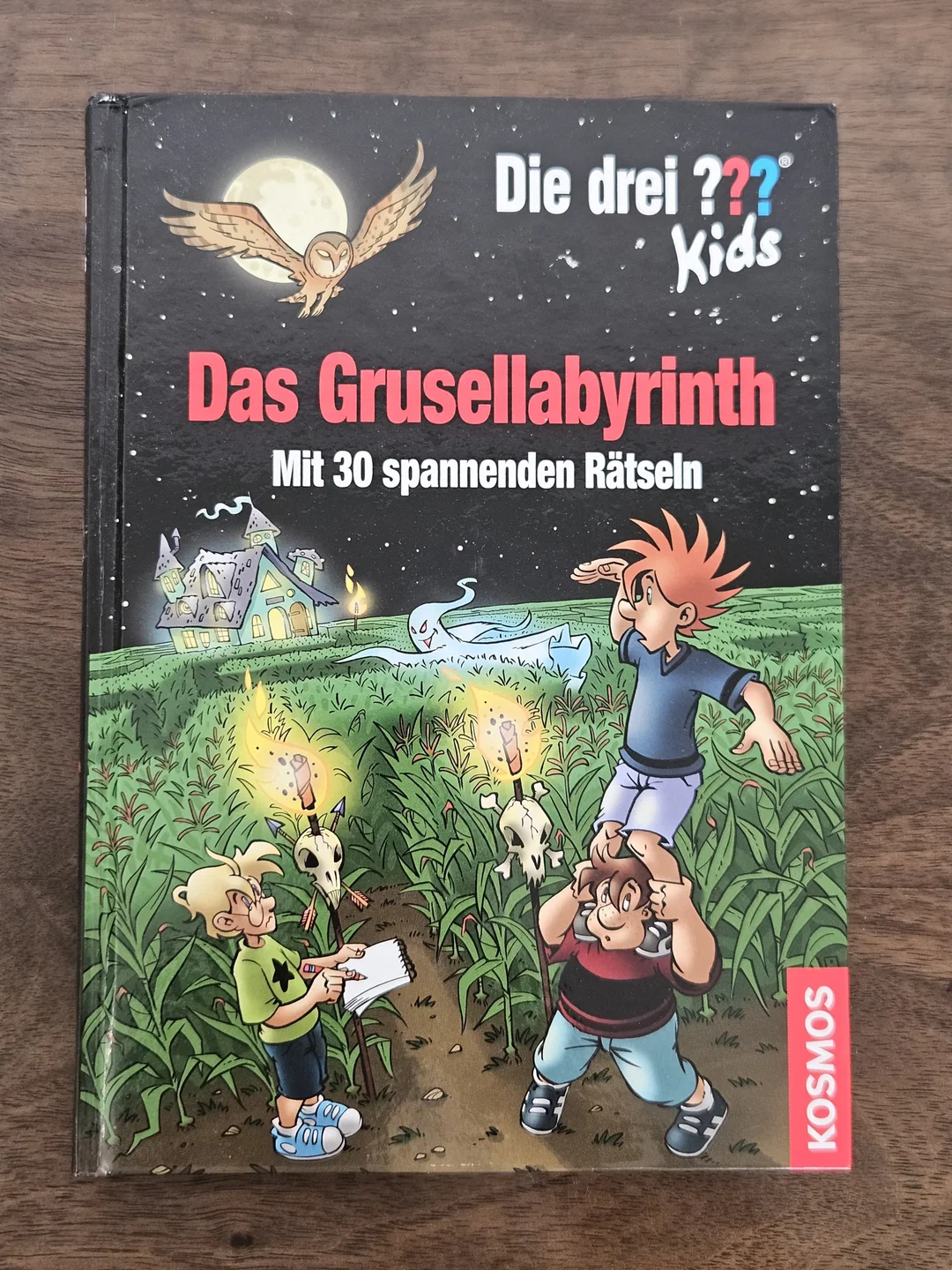 Die drei ??? Kids, Das Grusellabyrinth - Ulf Blanck – Bild 1