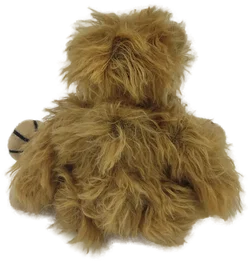 Martin Bär 