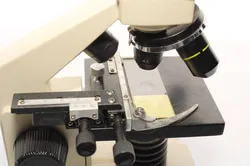 Bresser Biolux AL Mikroskop mit Transporttasche – 4x/40x Objektive, mechanischer Kreuztisch - Bild 4